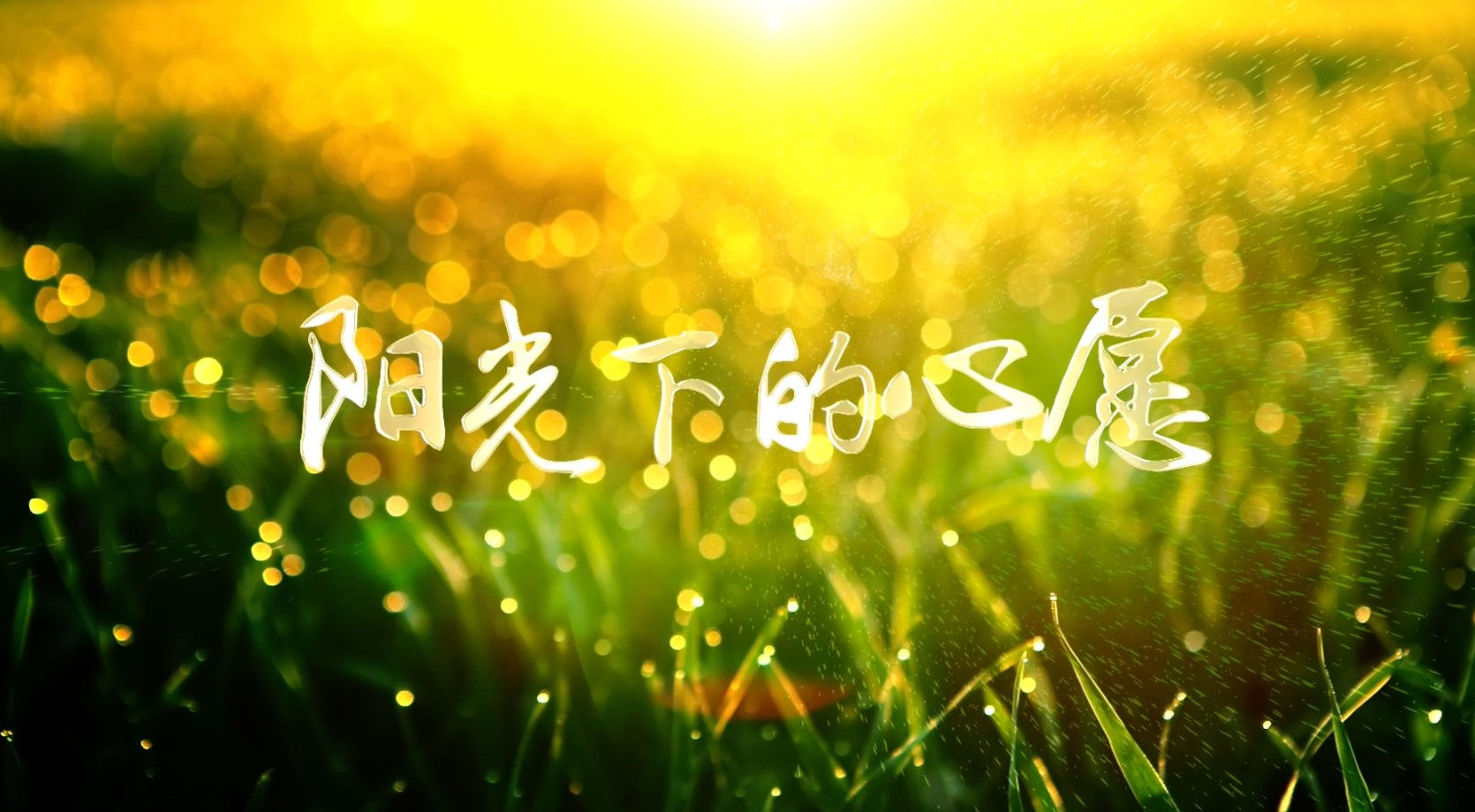 阳光下的心愿led视频背景-无词