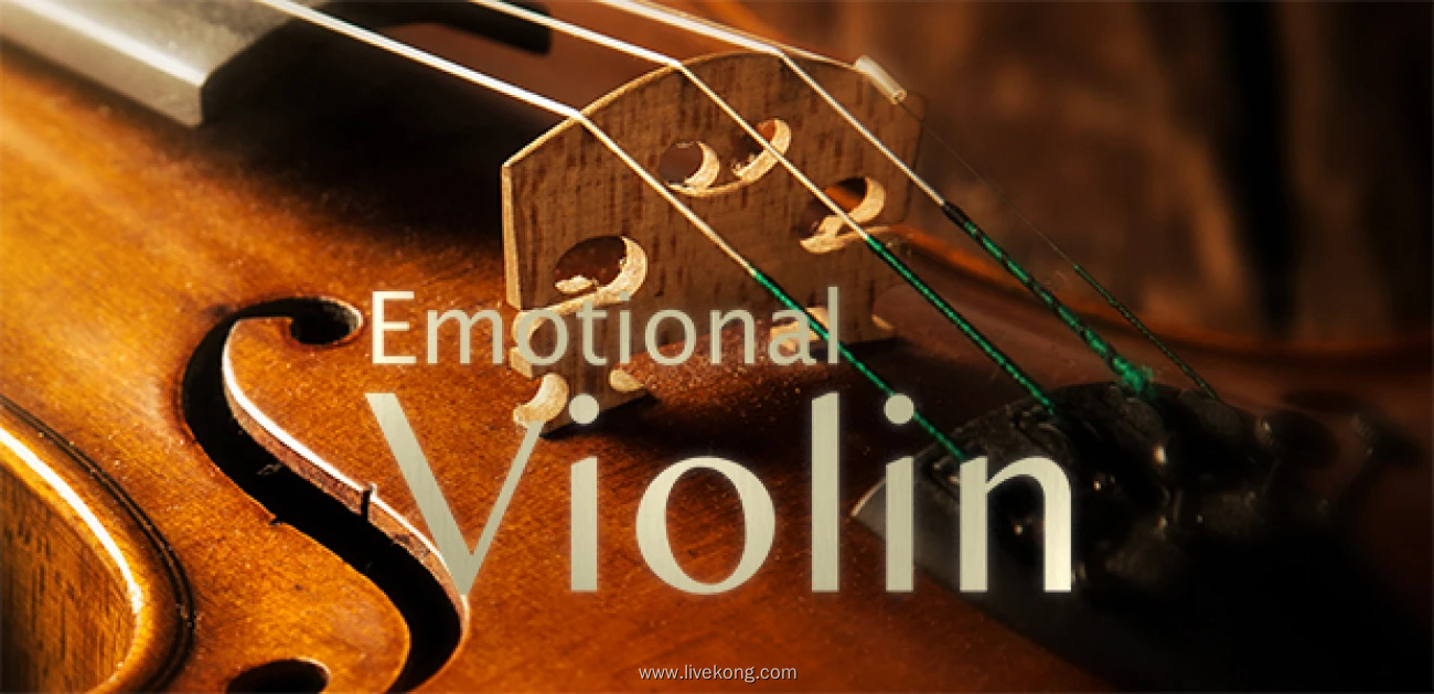 Best Service Emotional Violin 情感小提琴