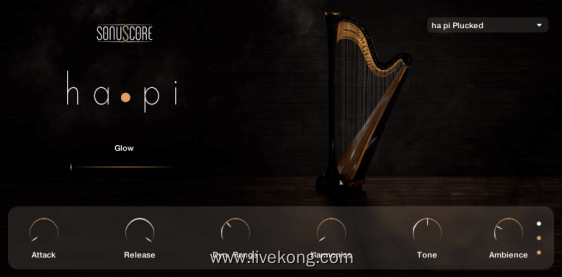 Sonuscore ha•pi – Concert Harp 音乐会竖琴