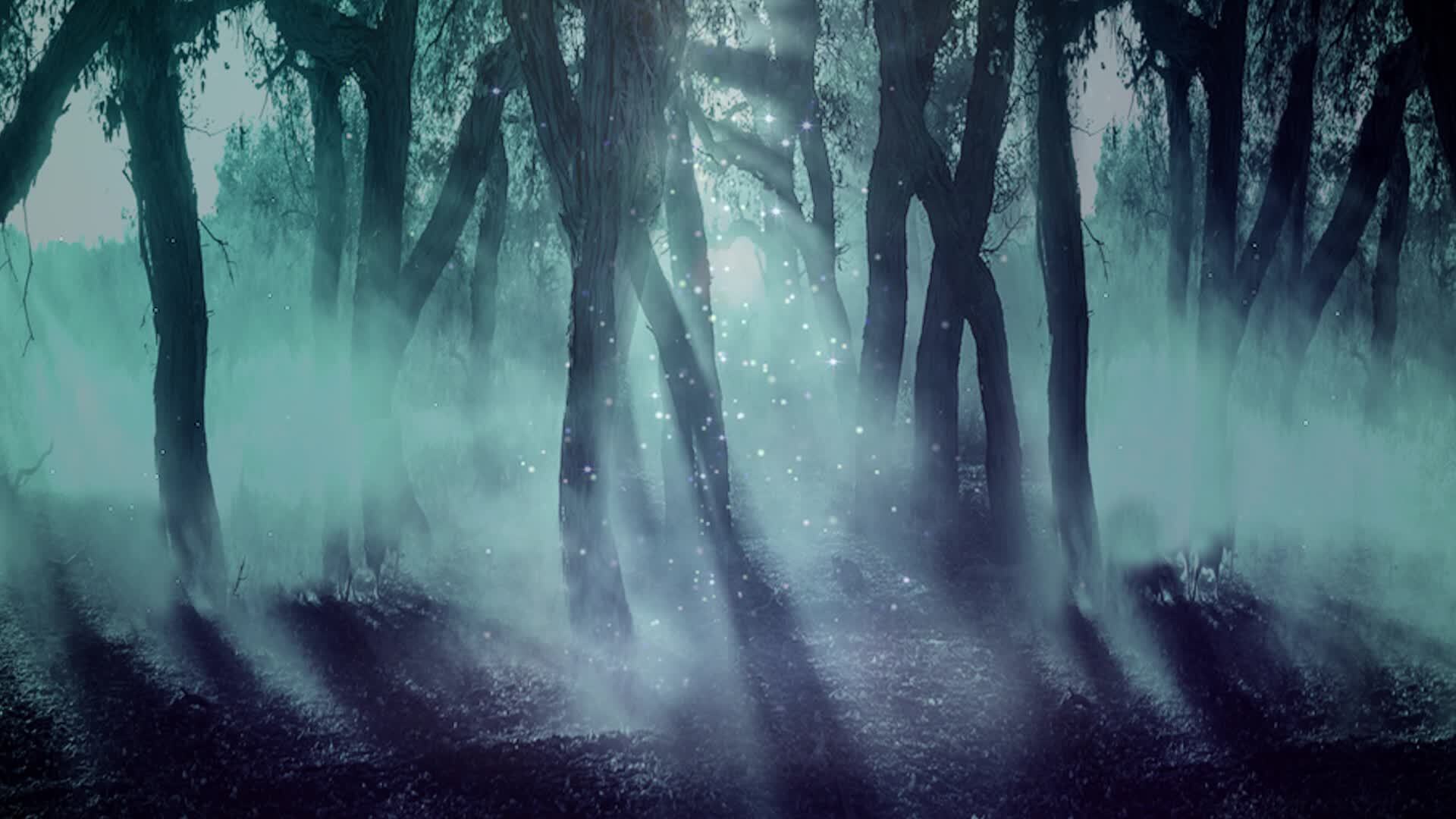 抽象夜晚树林视频素材