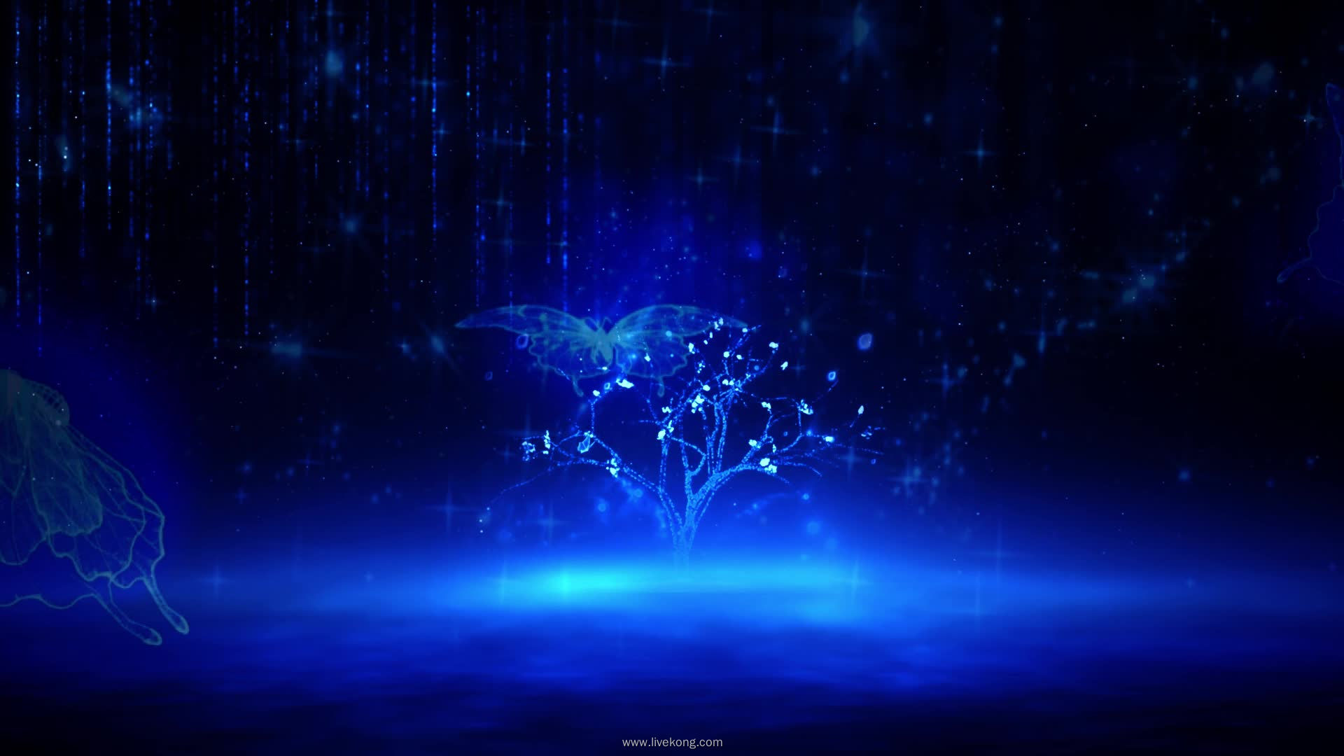 歌曲最初的梦想唯美粒子视频背景-livekong来悟空素材