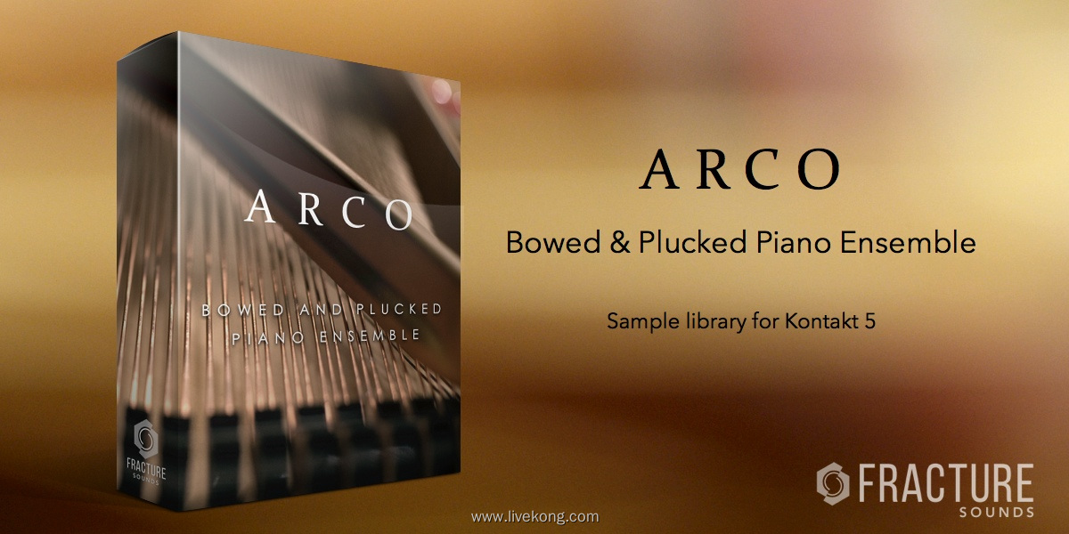 Fracture Sounds ARCO Bowed and Plucked Piano Ensemble
