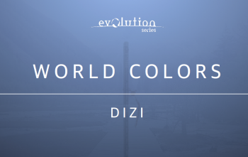 Evolution Series World Colors Dizi v1.0 色彩笛子